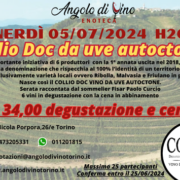 Collio Doc, vino da u autoctone