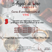 mini corso di avvicinamento al vino