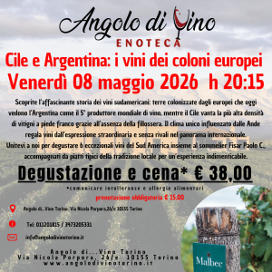 Vini cileni e argentini